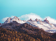 51网在线观看这条线越聊越越不对劲，越往后越不好解释